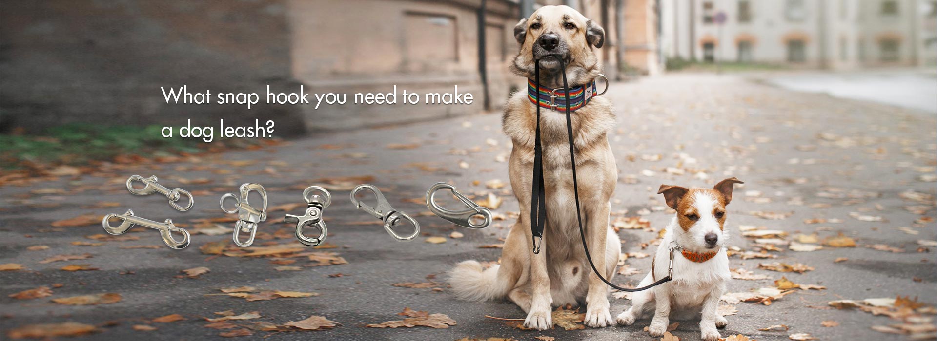 Dog Leash Hook