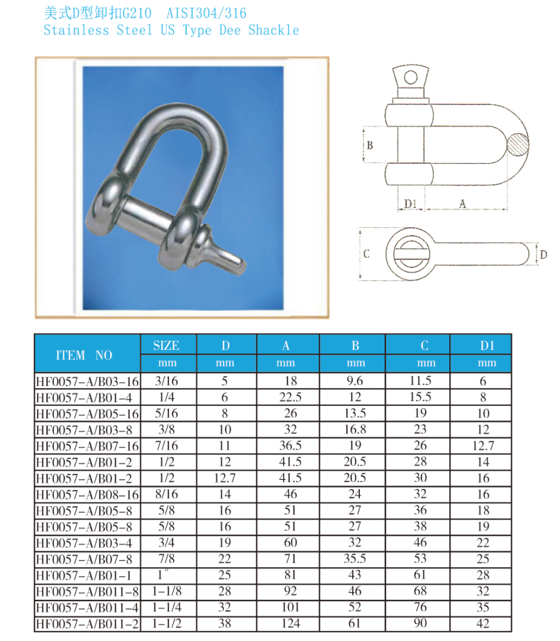 Stainless Steel US Type D Shackle