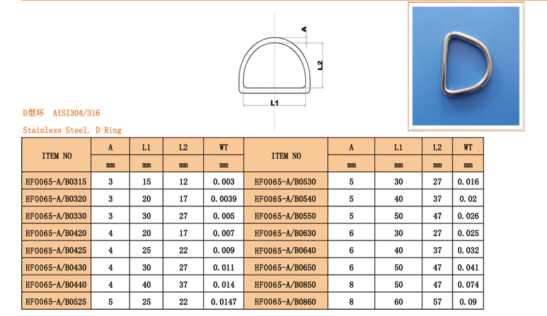 Stainless Steel D Ring