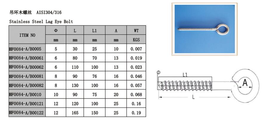 Stainless Steel Lag Eye Bolt