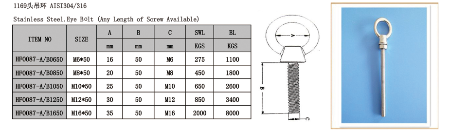 Stainless Steel Eye Bolt