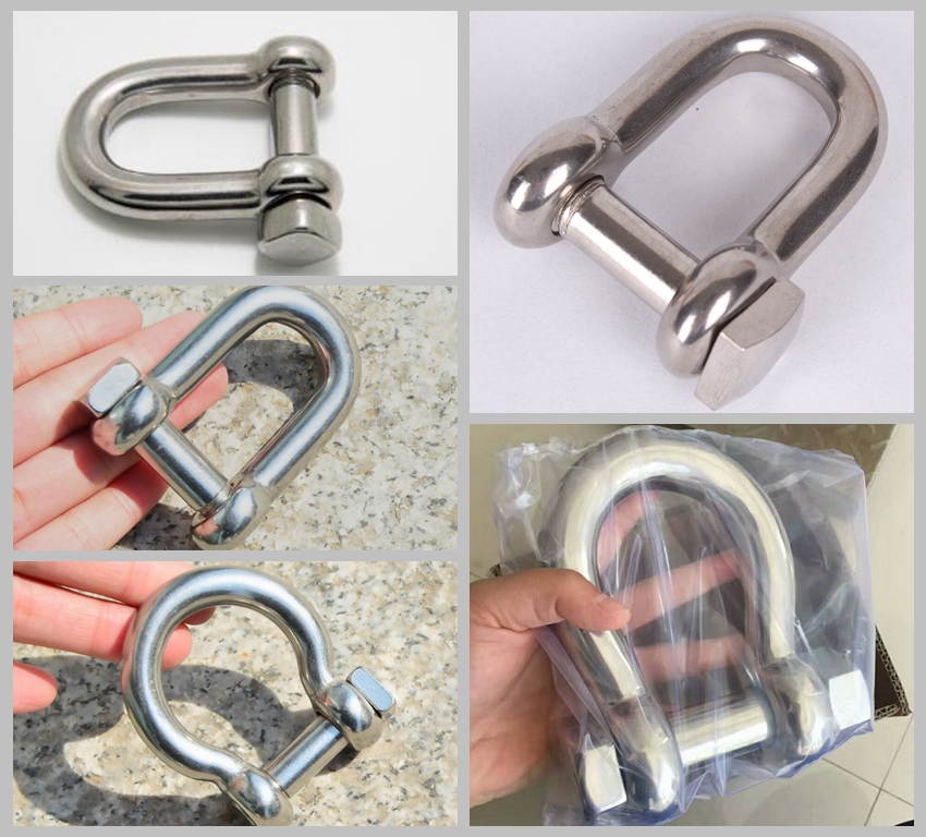 Stainless Steel D Shackle with Square Head