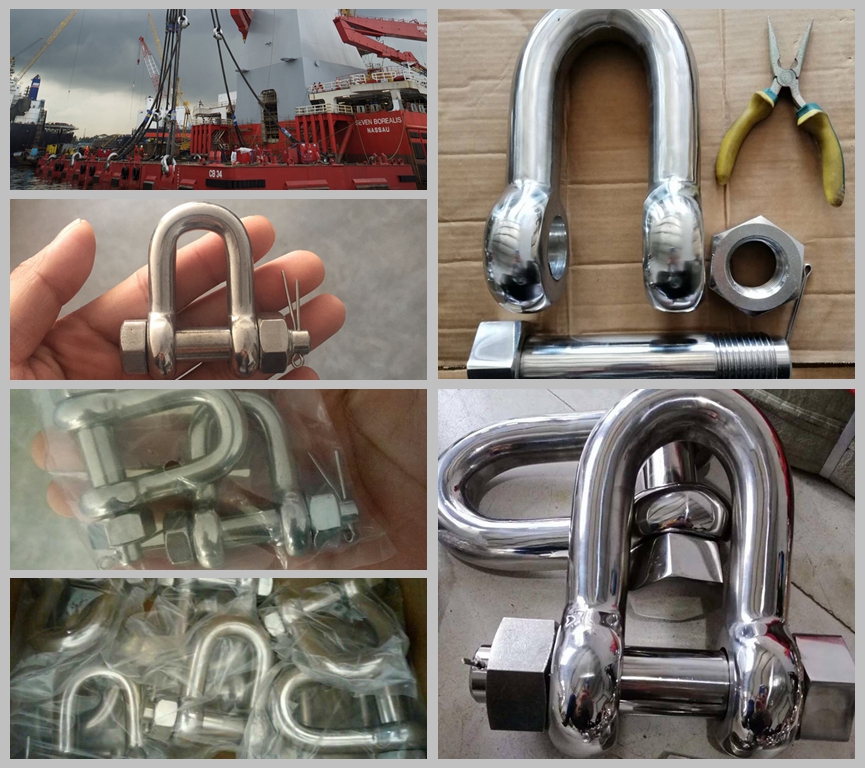 Stainless Steel Safety Pin D Shackle