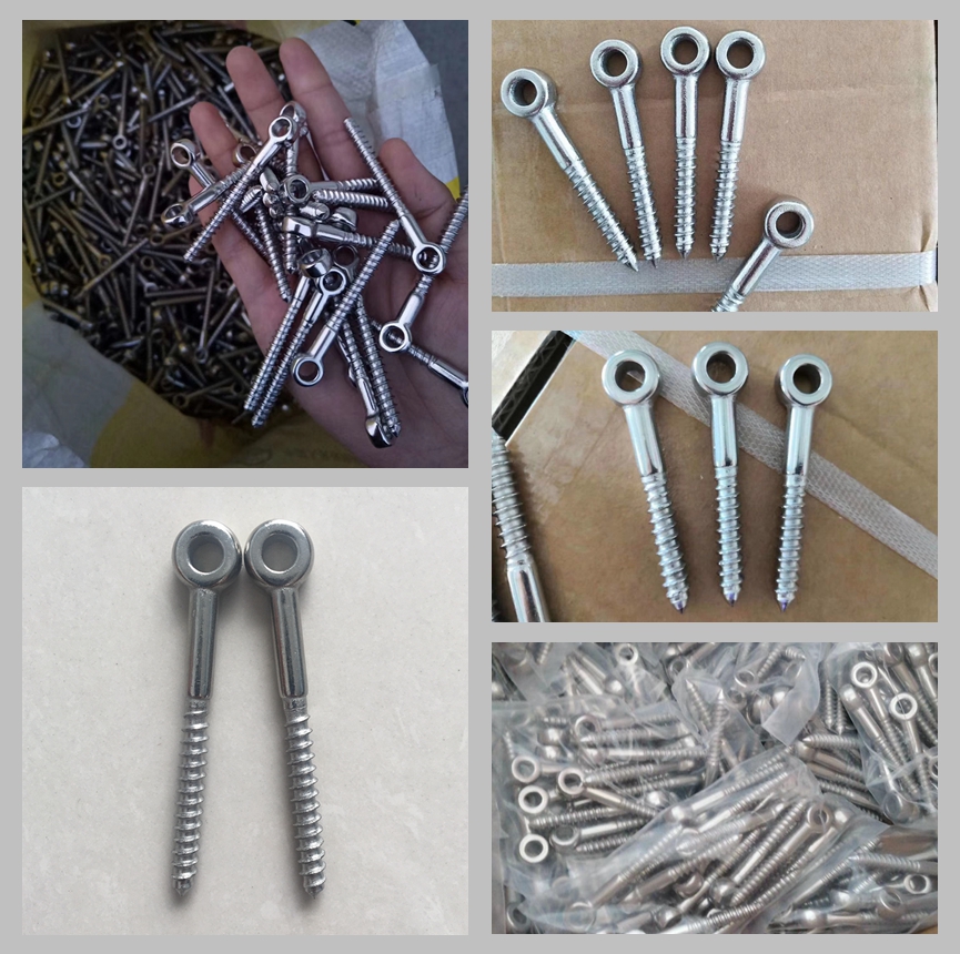 Stainless Steel Wooden Screw Threaded Eye Bolt