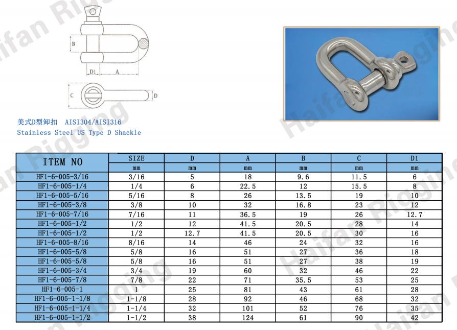 Stainless Steel US Type D Shackle