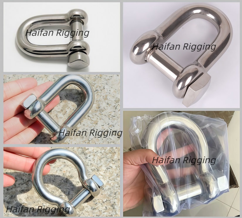 Stainless Steel D Shackle with Square Head