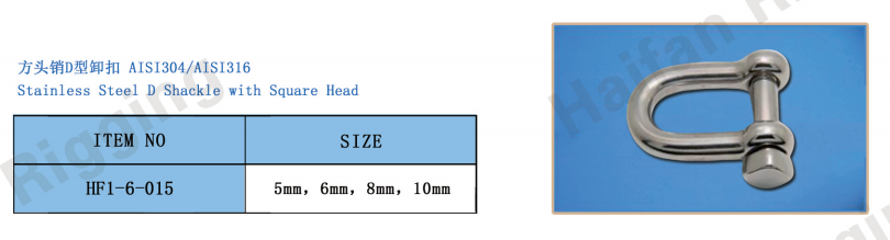 Stainless Steel D Shackle with Square Head