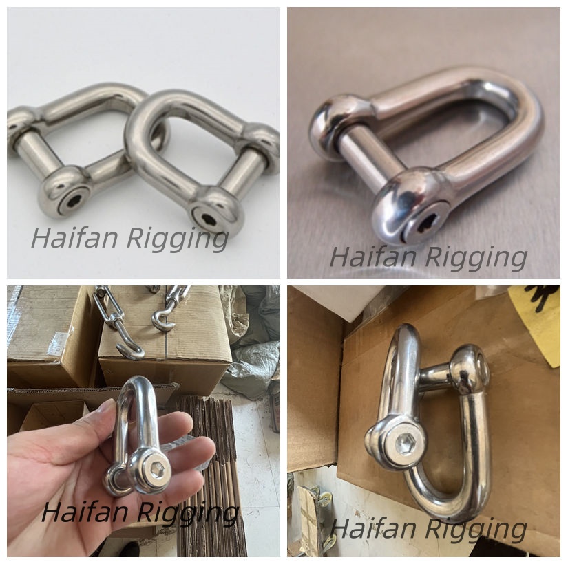 Stainless Steel D Shackle with Flush Allen Key Pin Stainless Steel D Shackle with Flush Allen Key Pin