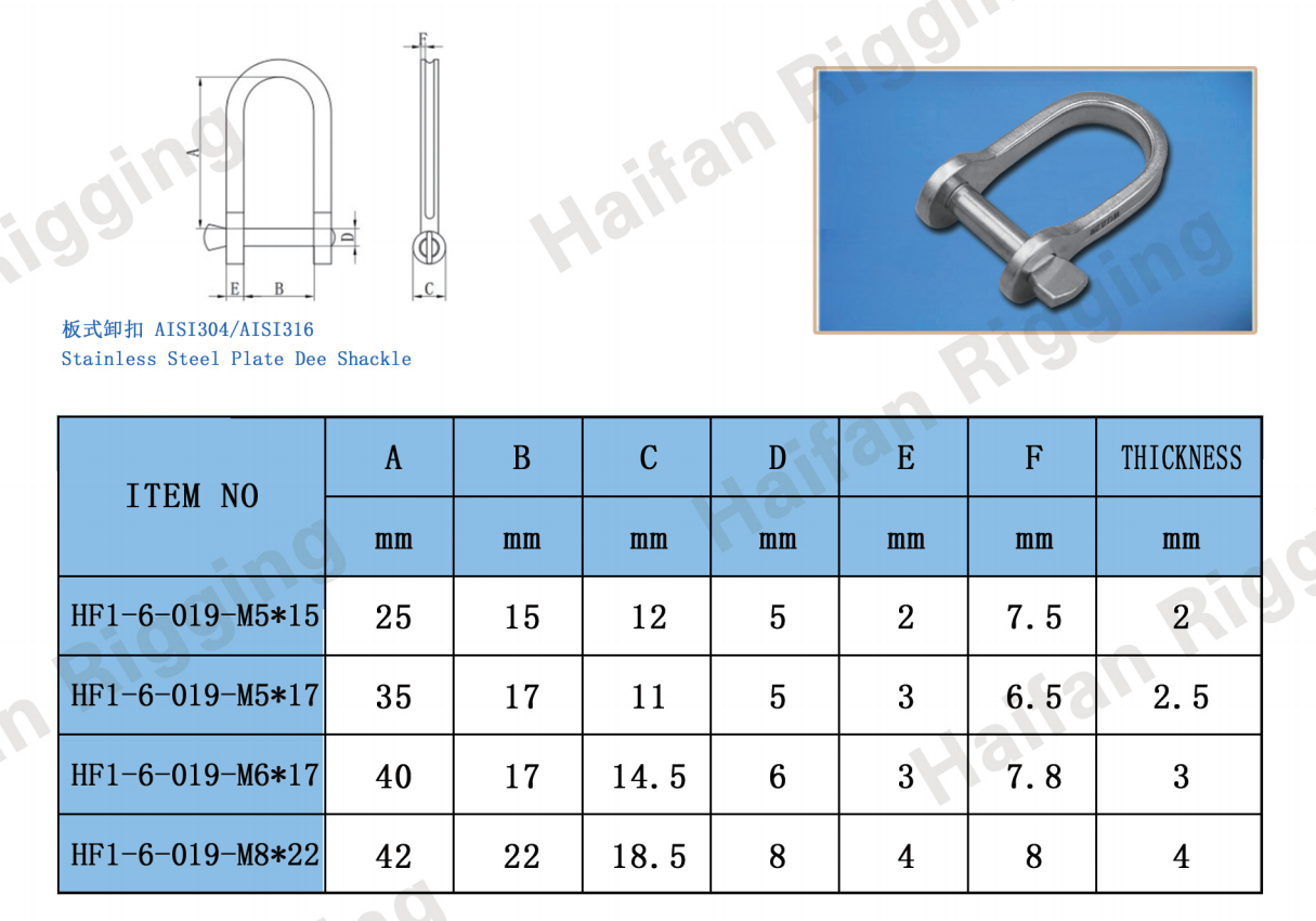 Stainless Steel Plate D Shackle Stainless Steel Plate D Shackle