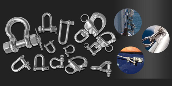 Stainless Steel Shackle