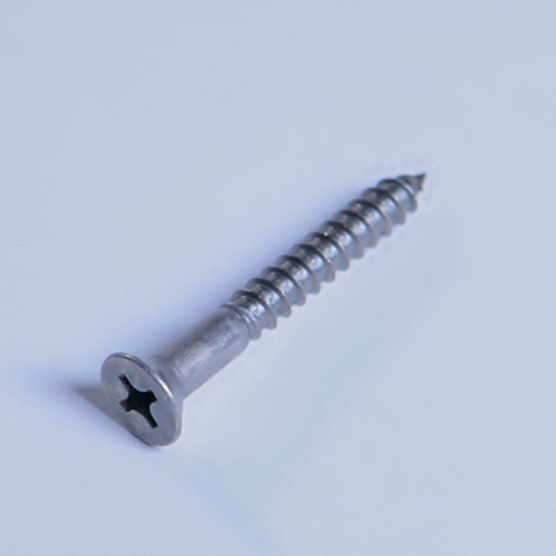 Stainless Lag Screw