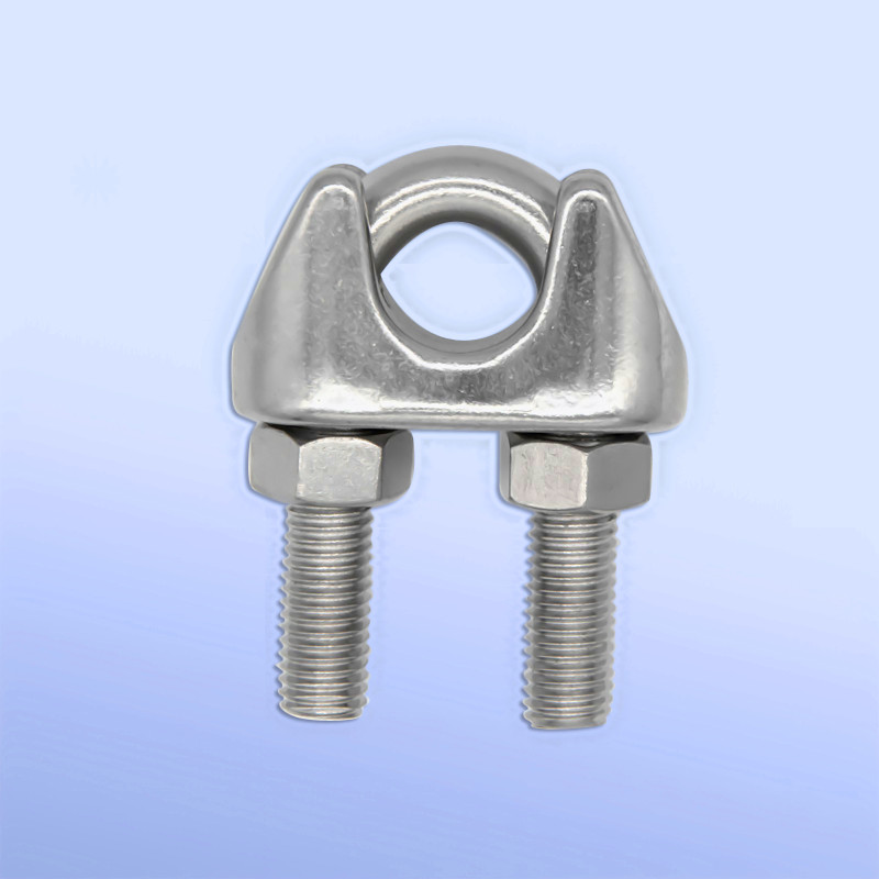 DIN741 Type Wire Rope Clip