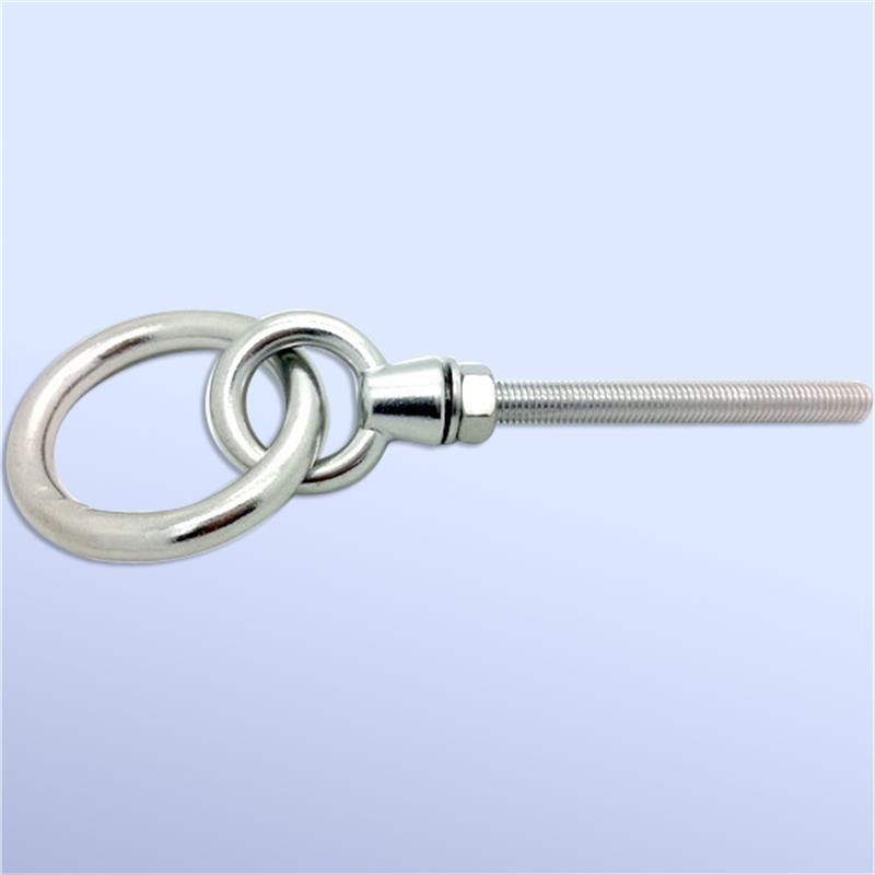 Stainless Steel Eye Bolts with Ring