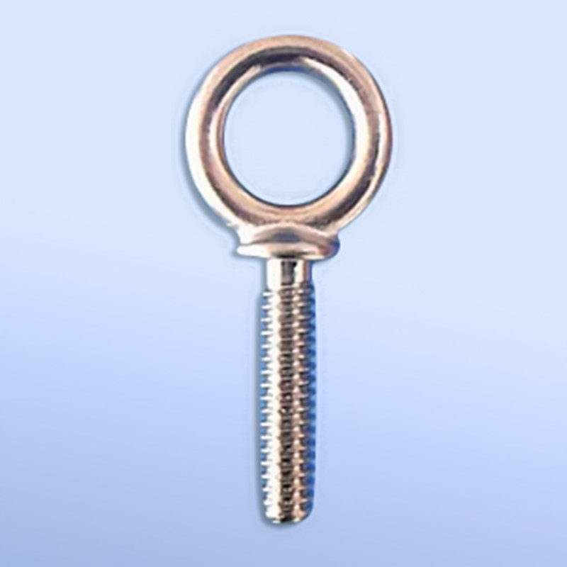 Stainless Steel Eye Bolt G279