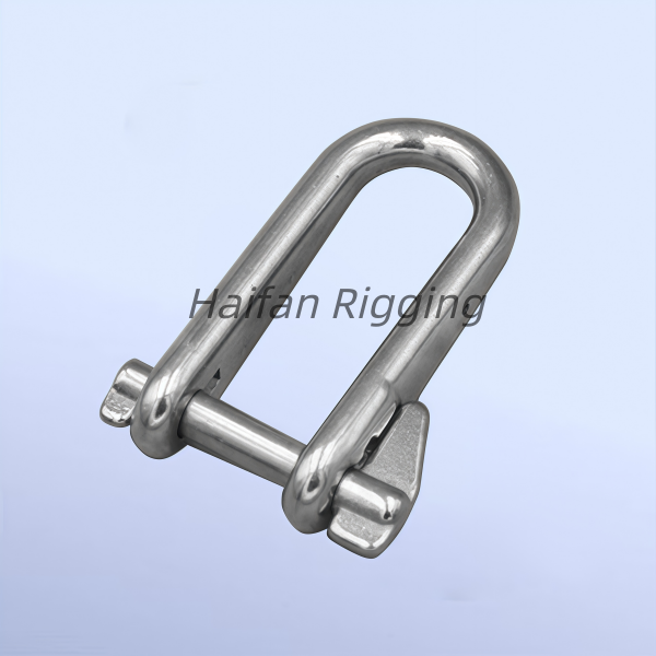 Stainless Steel Long D Shackle with Key Pin 