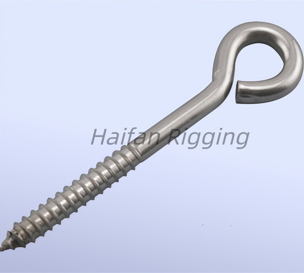 Stainless Steel Lag Eye Bolt